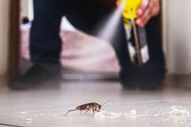 Professional Pest Control in Kent City, MI